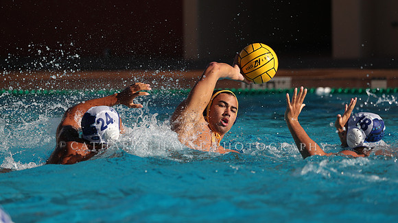 Collegiate Mens Water Polo: MPSF Invitational: California Golden Bears vs UC Santa Barbara Gauchos