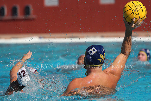 Collegiate Men's Water Polo: MPSF Invitational: UC San Diego Tritons vs Santa Clara University Broncos