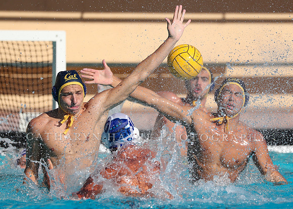 Collegiate Mens Water Polo: MPSF Invitational: California Golden Bears vs UC Santa Barbara Gauchos
