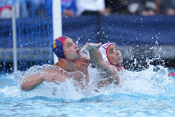 Luca Cupido, Alberto Munarriz