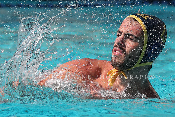 Collegiate Mens Water Polo: California Golden Bears vs UC Santa Barbara Gauchos