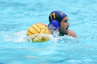 MWP:California Golden Bears vs UCSB Gauchos