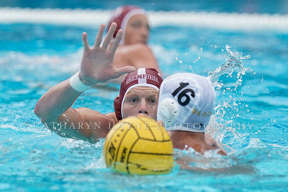 MWP: Stanford Cardinals vs Long Beach State 49ers