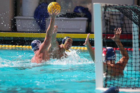 Collegiate Mens Water Polo: California Golden Bears vs UC Santa Barbara Gauchos