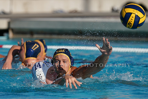 MWP: California Golden Bears vs Cal Baptist University