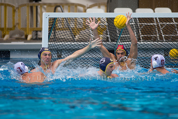 Cal vs Stanford at Mountain Pacific Sports Federation 2016