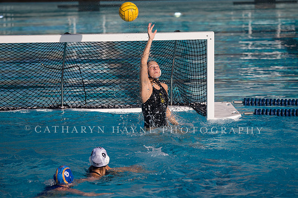 Cal vs SJSU at California Speedo Cup
