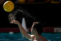 MWP: Salem University Tigers vs UCLA Bruins