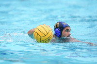 MWP:California Golden Bears vs UCSB Gauchos