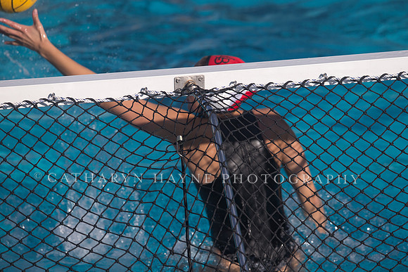 Cal vs SJSU at California Speedo Cup