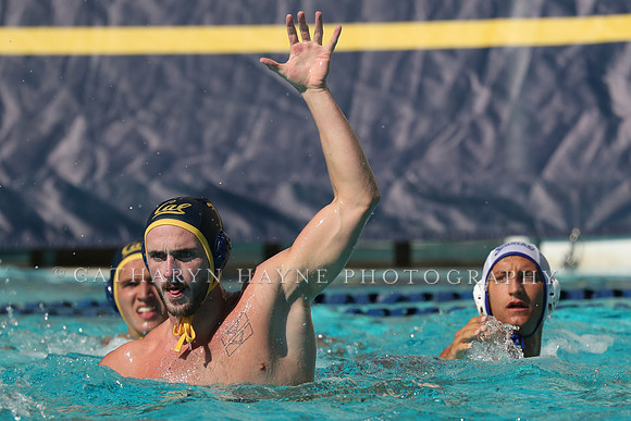 Collegiate Mens Water Polo: California Golden Bears vs UC Santa Barbara Gauchos