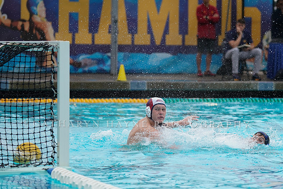 MWP:California Golden Bears vs UCSB Gauchos
