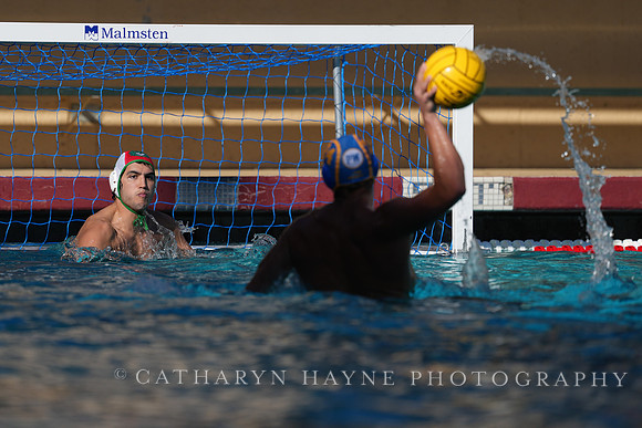 MWP: Salem University Tigers vs UCLA Bruins