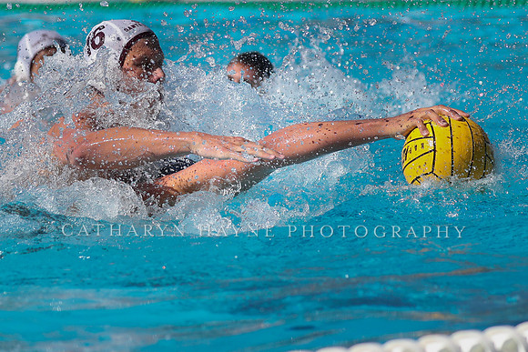 Collegiate Men's Water Polo: MPSF Invitational: UC San Diego Tritons vs Santa Clara University Broncos