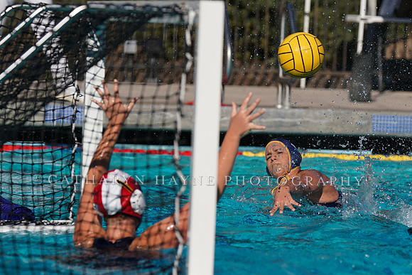 Collegiate Women's Water Polo: Barbara Kalbus Invitational: California Golden Bears vs UC San Diego Tritons