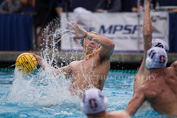 Cal vs Stanford at Mountain Pacific Sports Federation 2016
