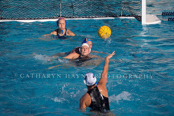 Cal vs SJSU at California Speedo Cup