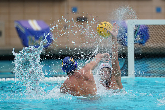 MWP:California Golden Bears vs UCSB Gauchos