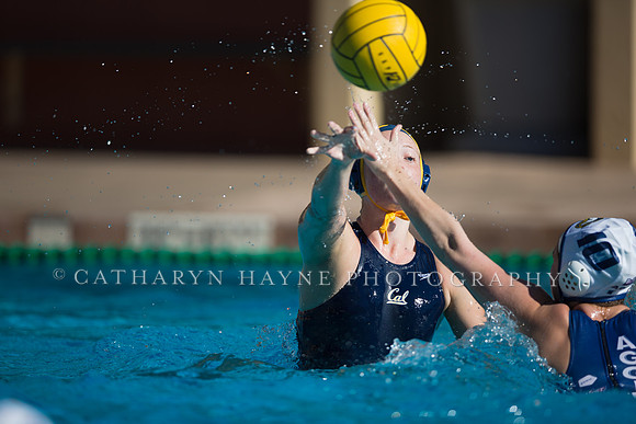 Cal vs UC Davis at Stanford Invitational
