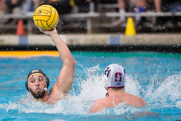 Cal vs Stanford at Mountain Pacific Sports Federation 2016