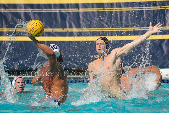 Collegiate Mens Water Polo: California Golden Bears vs UC Santa Barbara Gauchos
