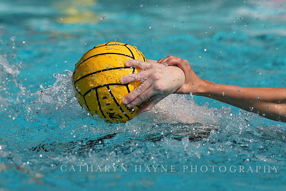 WWP: Brown University Bears vs SJSU Spartans