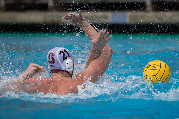 Cal vs Stanford at Mountain Pacific Sports Federation 2016