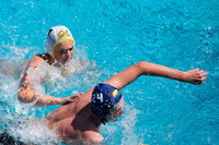 Cal Boys Water Polo Camp