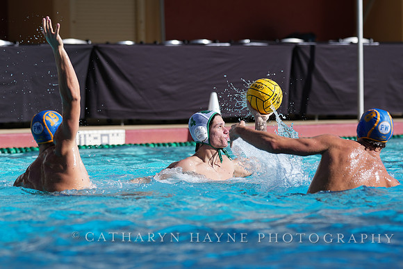 MWP: Salem University Tigers vs UCLA Bruins