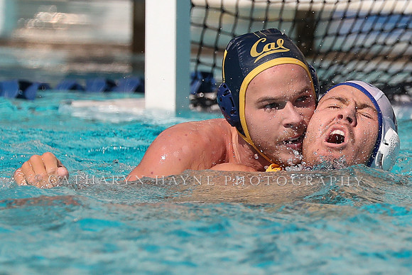 Collegiate Mens Water Polo: California Golden Bears vs UC Santa Barbara Gauchos