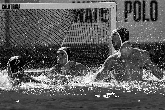 Collegiate Mens Water Polo: California Golden Bears vs UC Santa Barbara Gauchos