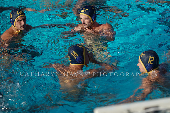 California Golden Bears vs San Jose State Unversity Spartans