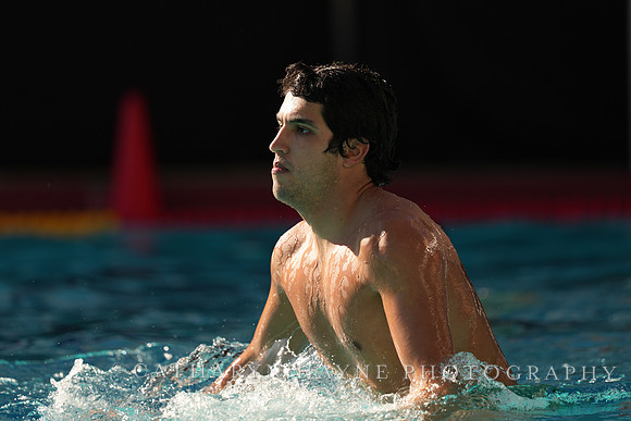 MWP: Salem University Tigers vs UCLA Bruins