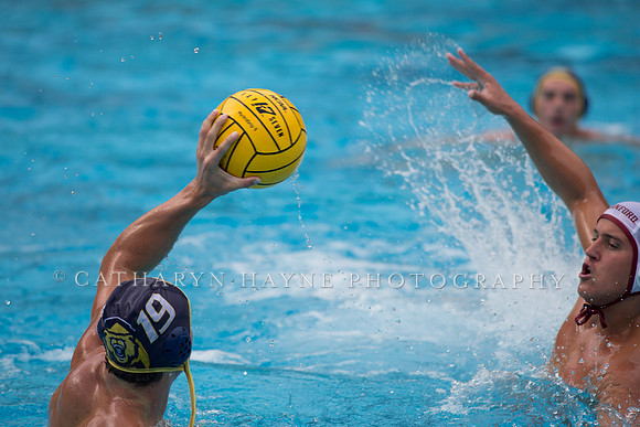 Cal vs Stanford at Mountain Pacific Sports Federation 2016