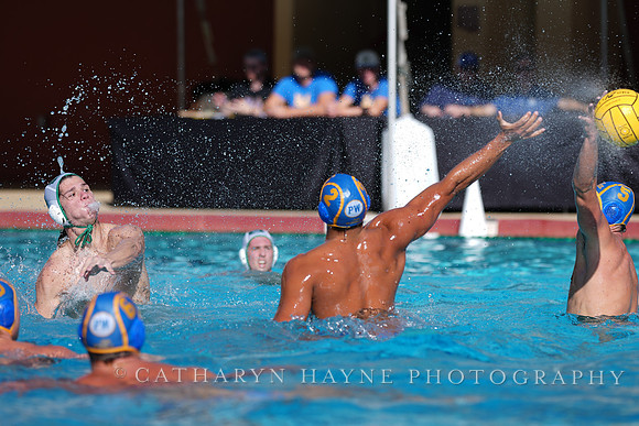 MWP: Salem University Tigers vs UCLA Bruins