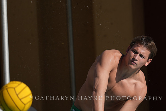 MWP: Salem University Tigers vs UCLA Bruins