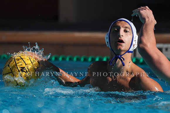 Collegiate Mens Water Polo: MPSF Invitational: California Golden Bears vs UC Santa Barbara Gauchos