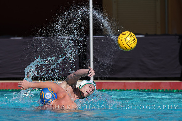 MWP: Salem University Tigers vs UCLA Bruins
