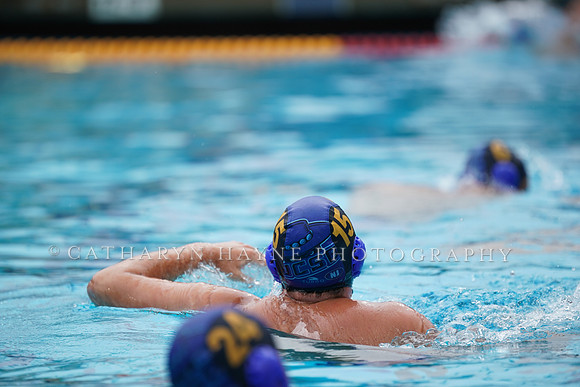 MWP:California Golden Bears vs UCSB Gauchos