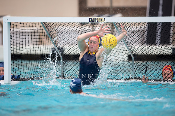 Cal vs San Jose State University