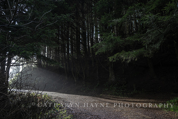 Heceta Head Lighthouse