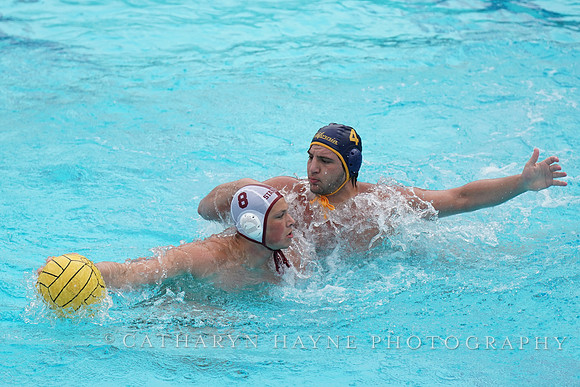MWP: MPSF:California Golden Bears vs Stanford Cardinals