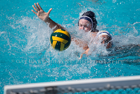 Cal vs San Jose State University at US Open Water Polo Tournamen