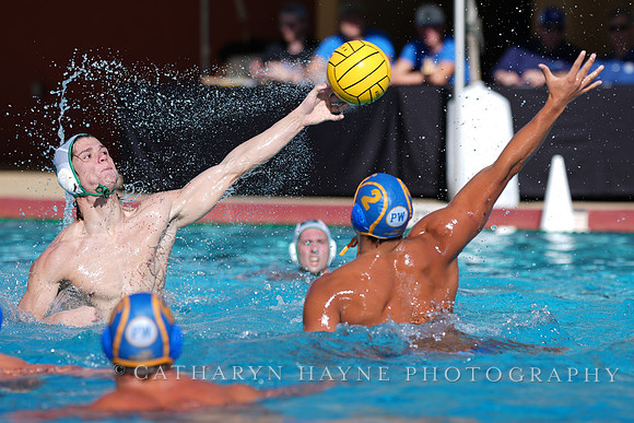MWP: Salem University Tigers vs UCLA Bruins