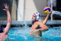 USA Blue vs USA Red at National League Championships