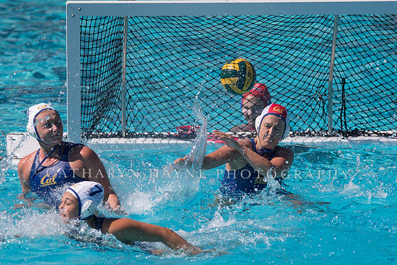 Cal vs San Jose State University at US Open Water Polo Tournamen