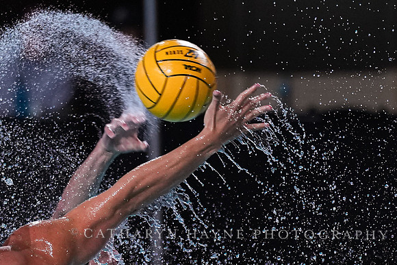 MWP: Fordham University Rams vs Long Beach State
