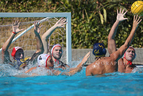 USA Water Polo: National League: NYAC vs Cal