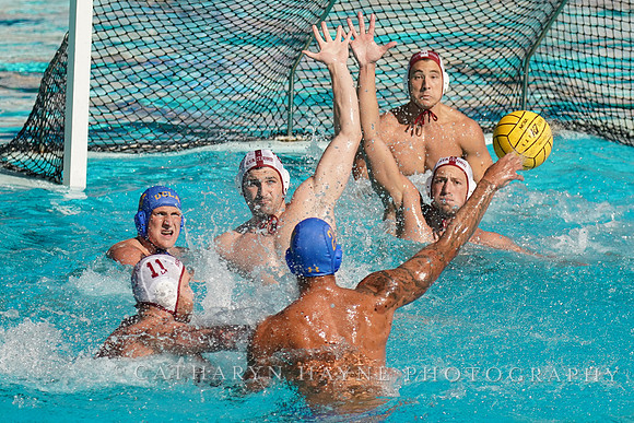 MWP: MPSF:Stanford University Cardinals vs UCLA Bruins