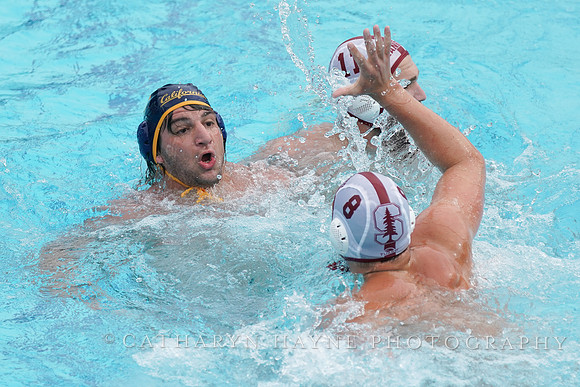 MWP: MPSF:California Golden Bears vs Stanford Cardinals